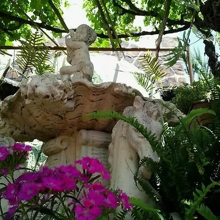 Couette-café Valle Moya (Gran Canaria)