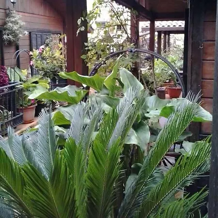 Valle 4* Moya (Gran Canaria)