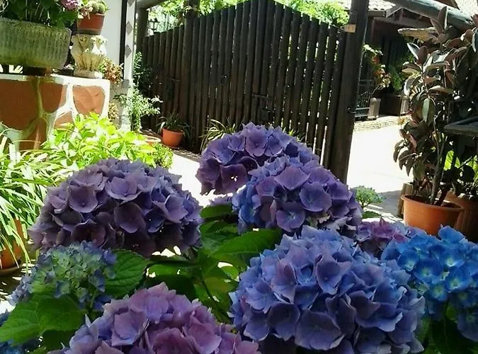 Bed & Breakfast Valle 4*