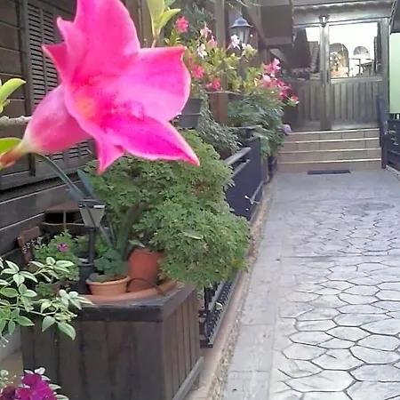 Valle Moya (Gran Canaria)