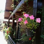 Bed and breakfast Valle